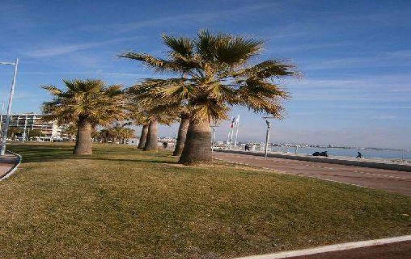 Location de vacances - Studio à Cagnes-sur-Mer