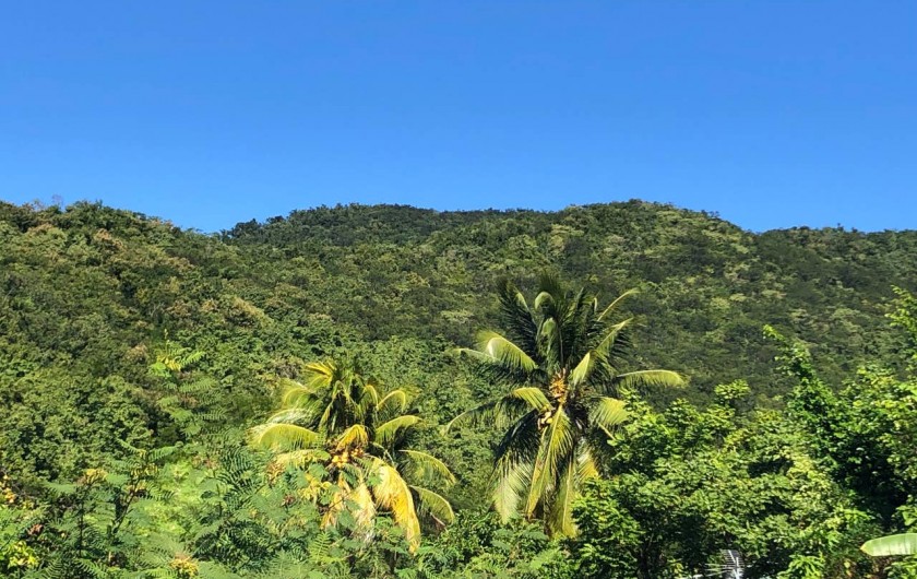 Location de vacances - Villa à Bouillante - VUE MONTAGNE