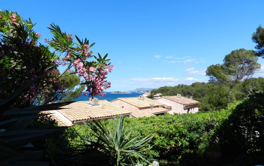 Location de vacances - Maison - Villa à Sanary-sur-Mer