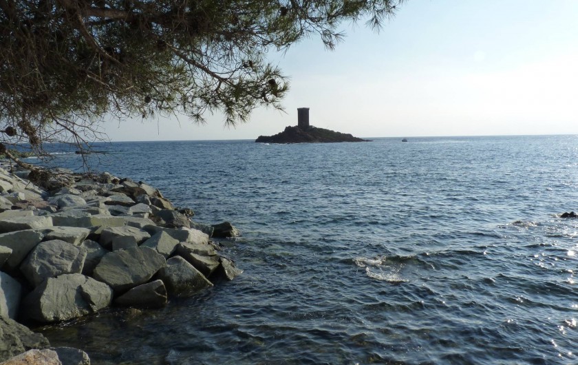 Location de vacances - Bungalow - Mobilhome à Fréjus - Le dramond