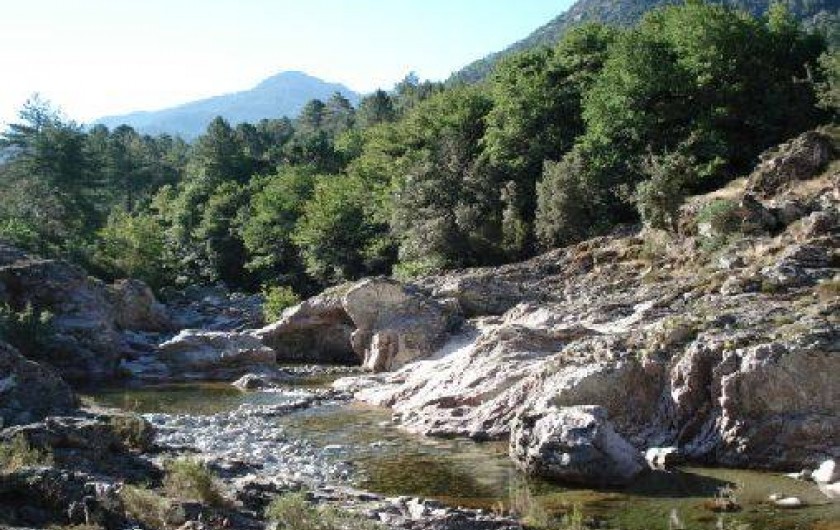 Location de vacances - Appartement à Soccia - une des nombreuses piscines naturelles