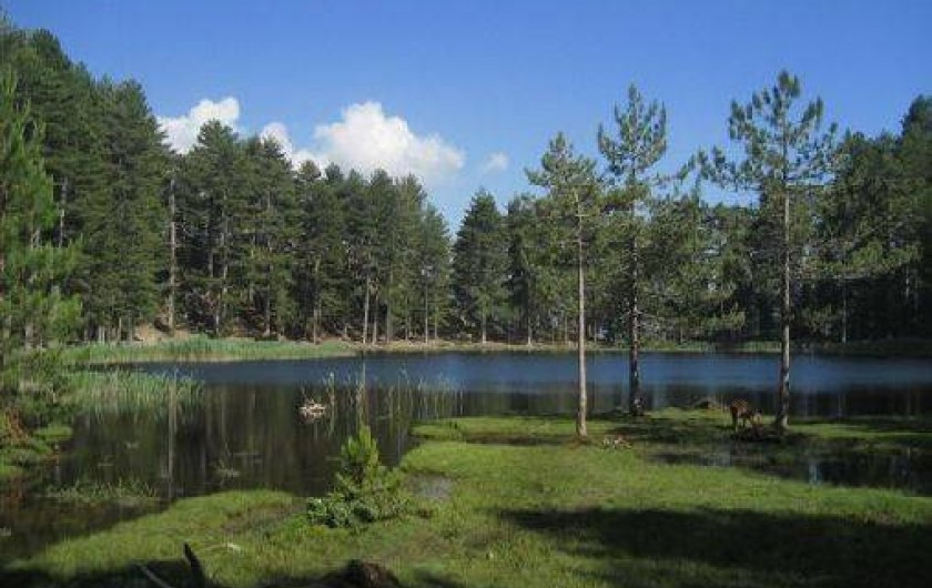 Location de vacances - Appartement à Soccia - lac de Créno