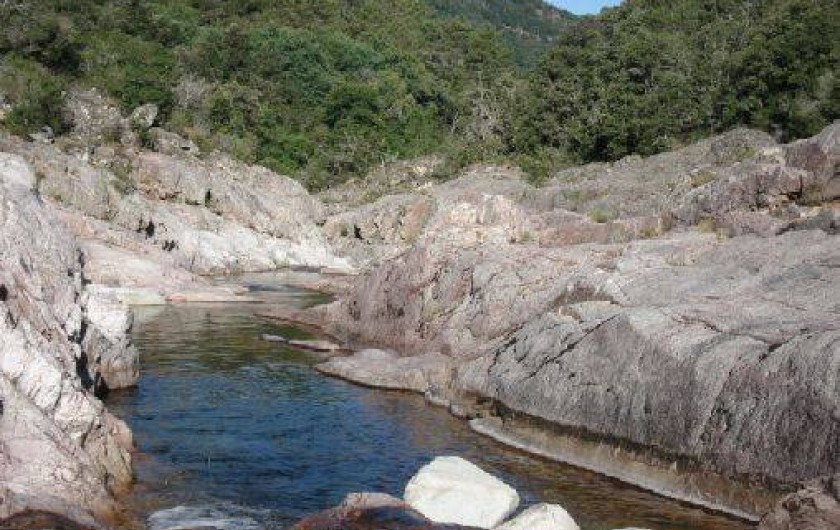 Location de vacances - Appartement à Soccia - encore une piscine...