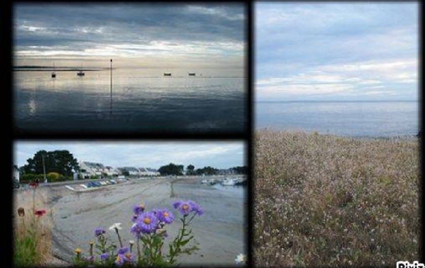 Location de vacances - Villa à Sarzeau - A quelques centaines de mètres...