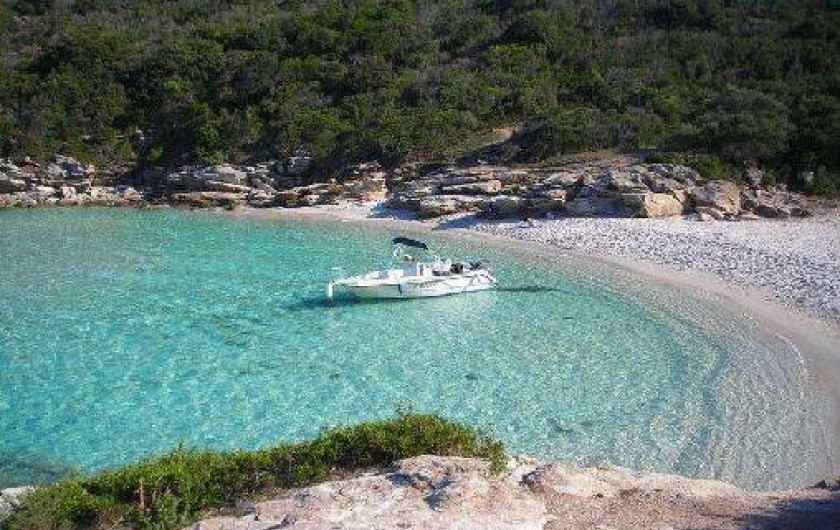 Location de vacances - Villa à Saint-Florent