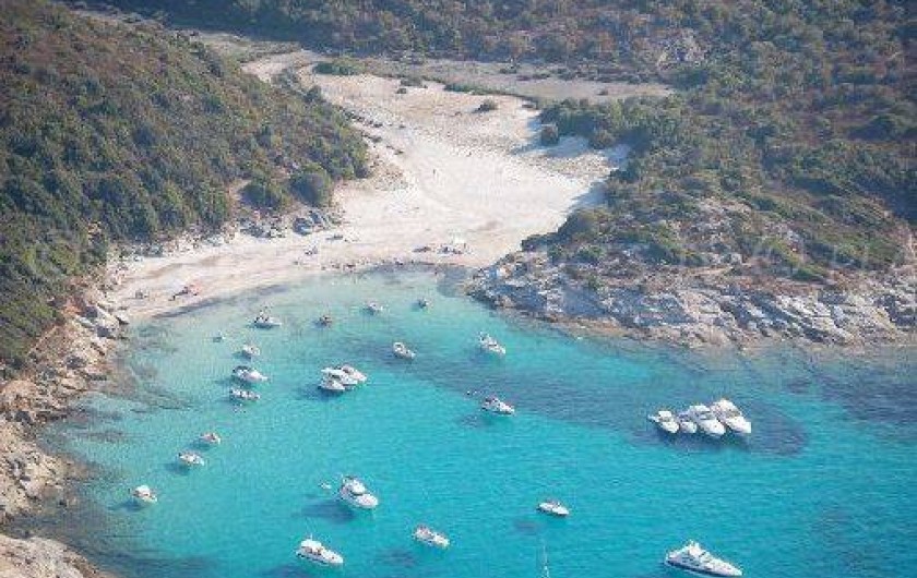 Location de vacances - Villa à Saint-Florent