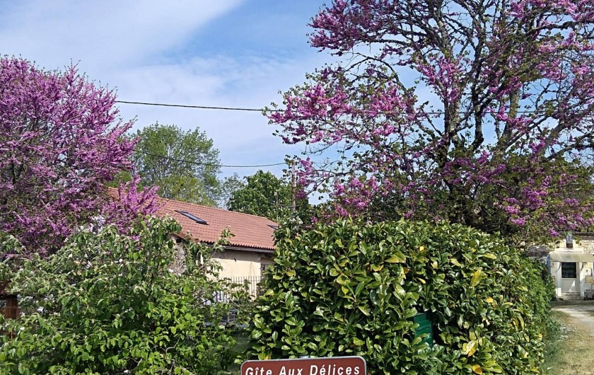 Location de vacances - Gîte à Sorges et Ligueux en Périgord - jardin