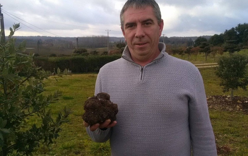 Location de vacances - Gîte à Sorges et Ligueux en Périgord - nos truffes