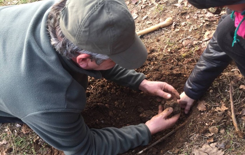 Location de vacances - Gîte à Sorges et Ligueux en Périgord - Récolte 2019/2020