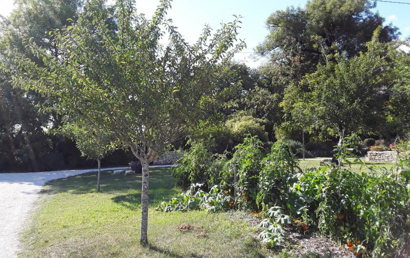 Location de vacances - Gîte à Sorges et Ligueux en Périgord - jardin