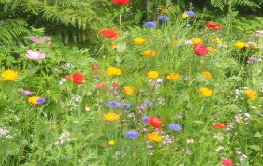 Location de vacances - Gîte à Landébia