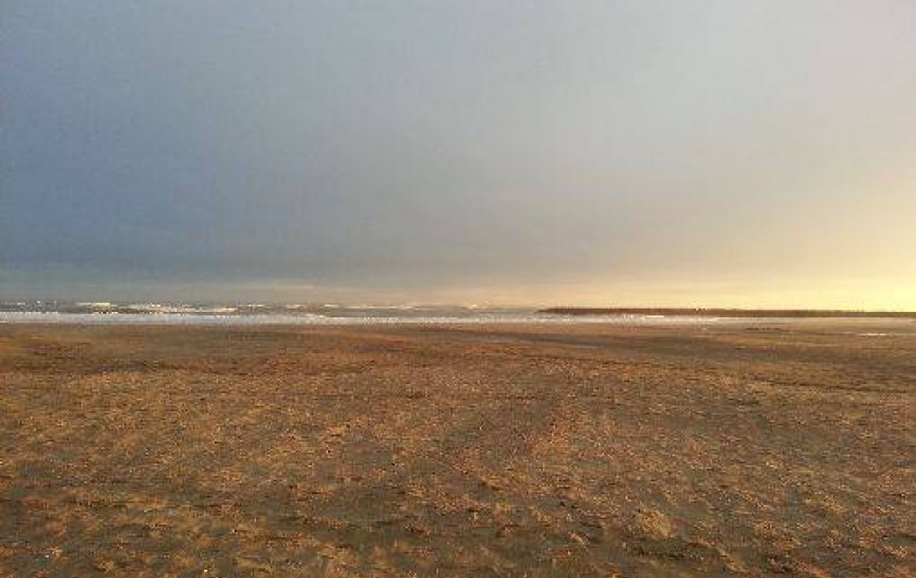 Location de vacances - Villa à Agde