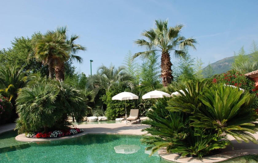Location de vacances - Villa à Carros - Piscine-lagon unique au milieu d'une palmeraie de collection