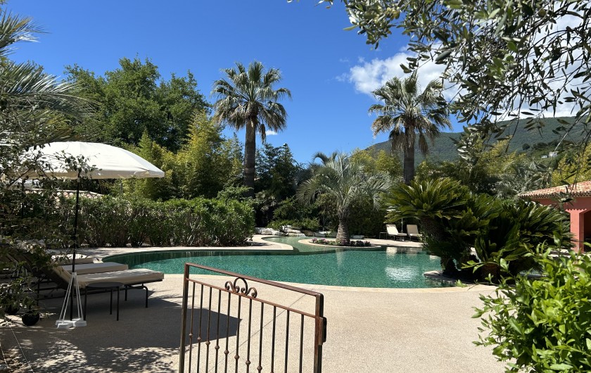 Location de vacances - Villa à Carros - Magnifique piscine-lagon