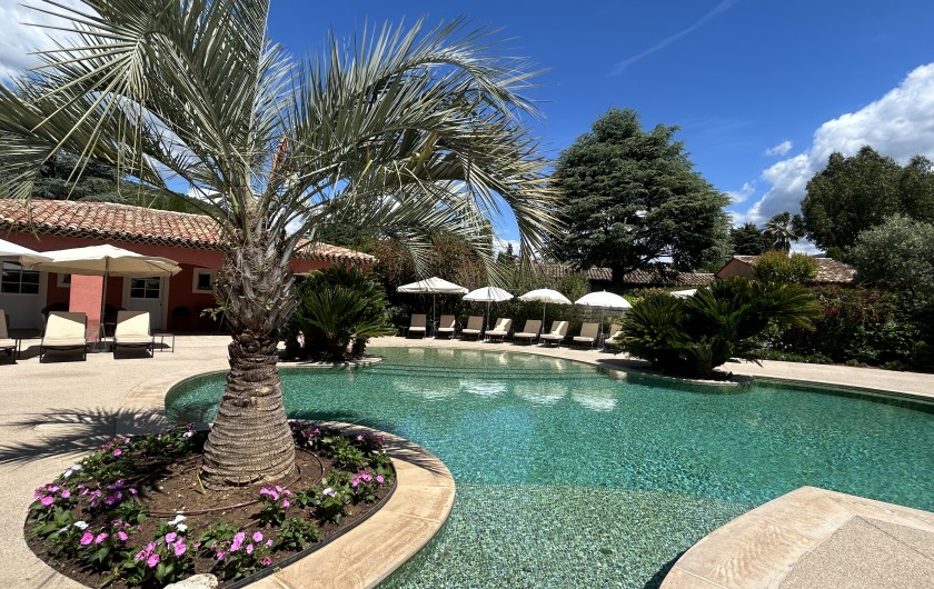 Location de vacances - Villa à Carros - Magnifique piscine-lagon