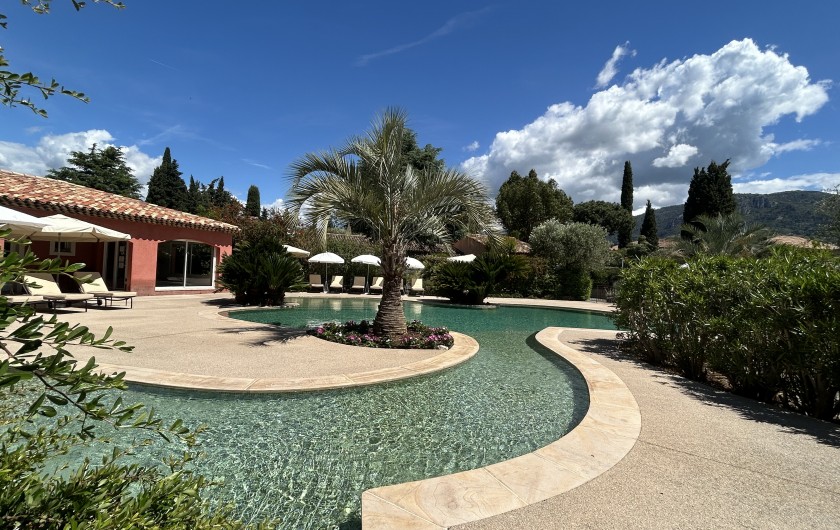 Location de vacances - Villa à Carros - Magnifique piscine-lagon