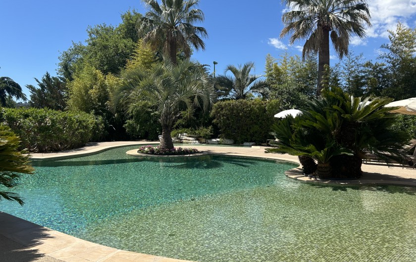 Location de vacances - Villa à Carros - Piscine-lagon avec plage en pente douce idéal pour les enfants