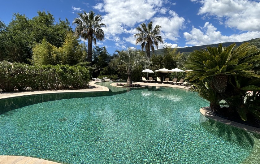 Location de vacances - Villa à Carros - Magnifique piscine-lagon
