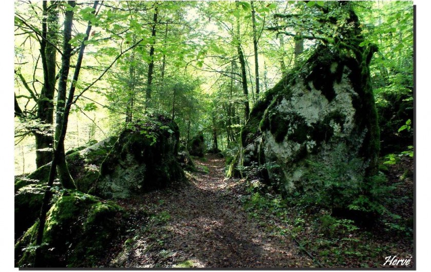 Location de vacances - Chalet à Goumois