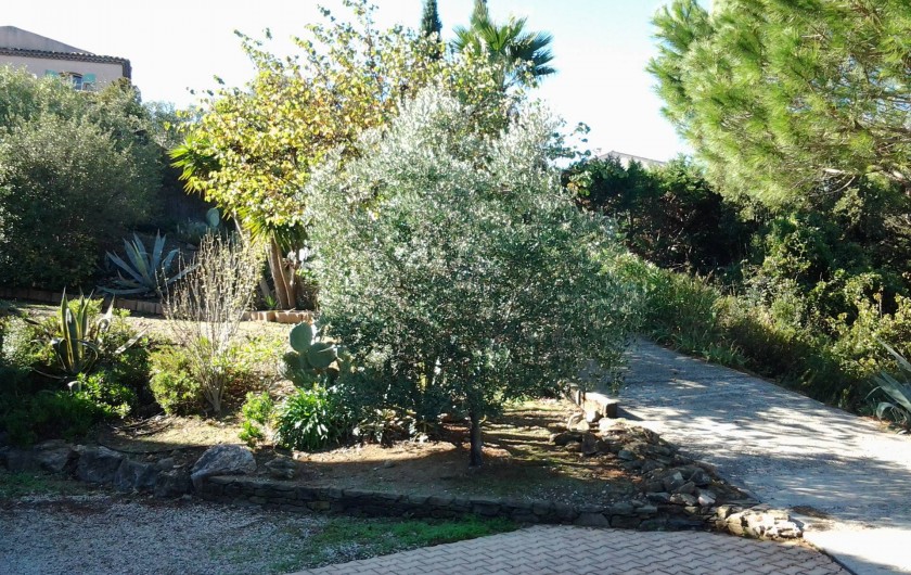 Location de vacances - Villa à Sainte-Maxime - Jardin à l’arrière de la villa.