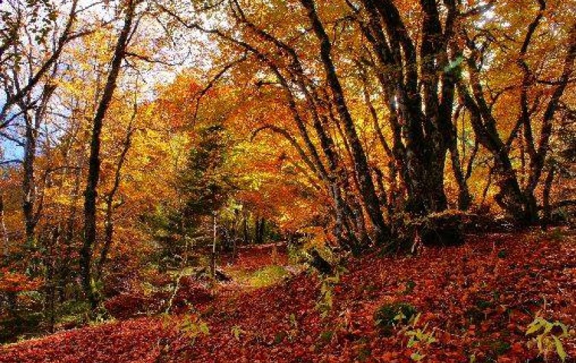 Location de vacances - Hôtel - Auberge à La Bourboule