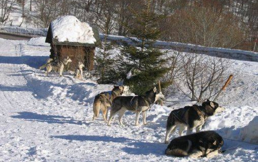 Location de vacances - Hôtel - Auberge à La Bourboule