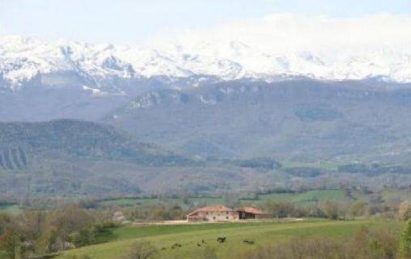 Location de vacances - Maison - Villa à Lescure