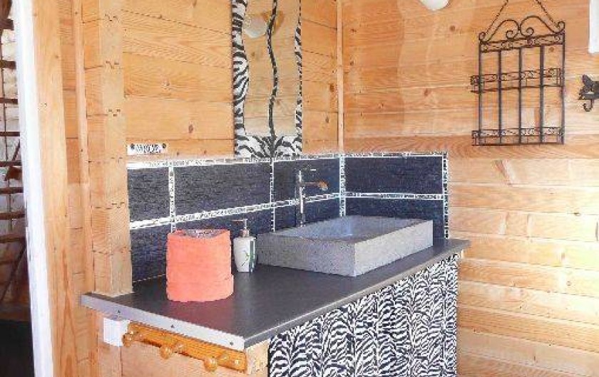 Location de vacances - Gîte à Salles-Curan