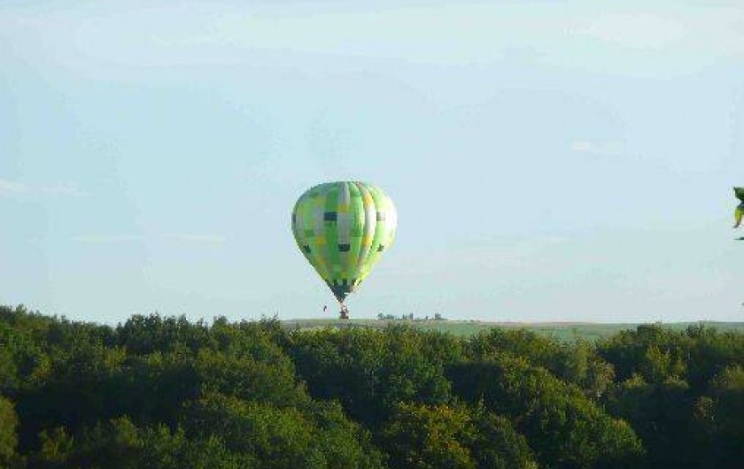 Location de vacances - Gîte à Salles-Curan