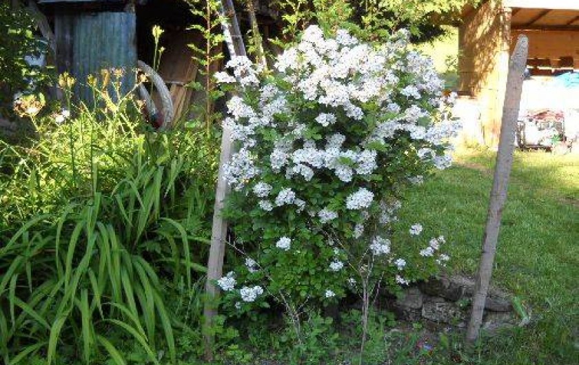 Location de vacances - Chalet à Mont-Saxonnex