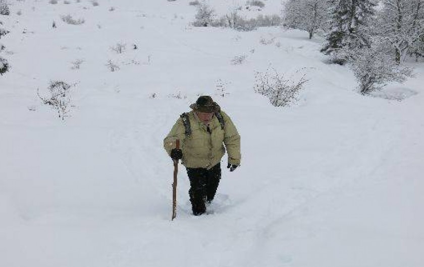 Location de vacances - Chalet à Mont-Saxonnex