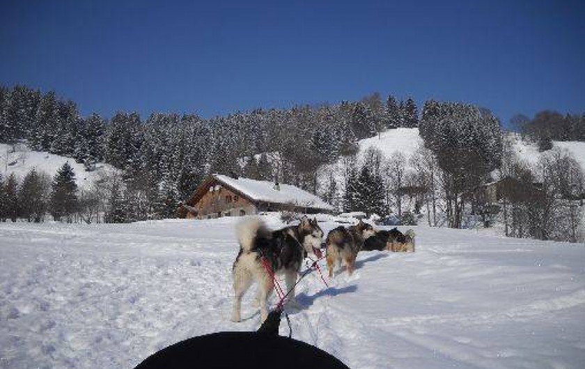 Location de vacances - Chalet à Mont-Saxonnex