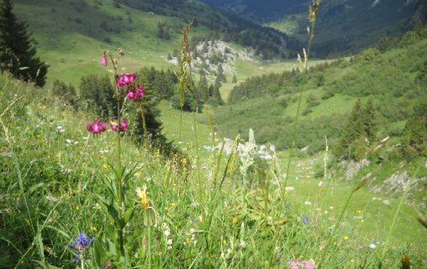Location de vacances - Chalet à Mont-Saxonnex