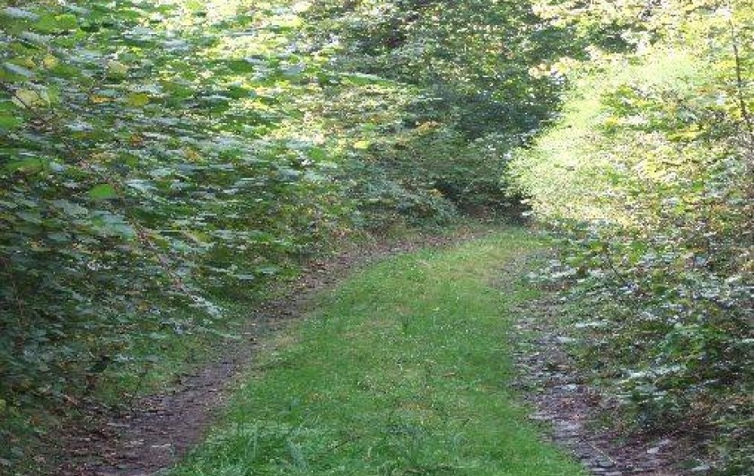 Location de vacances - Gîte à Saint-Cyr-du-Bailleul