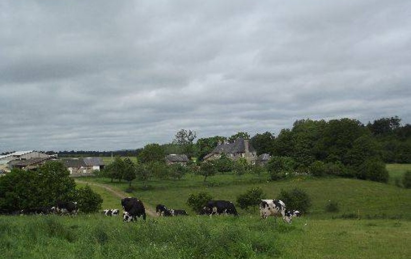 Location de vacances - Gîte à Saint-Cyr-du-Bailleul