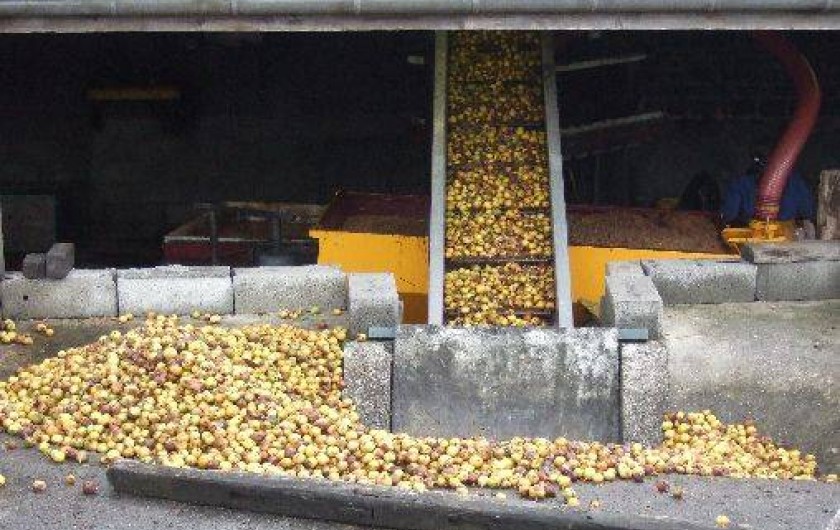 Location de vacances - Gîte à Saint-Cyr-du-Bailleul