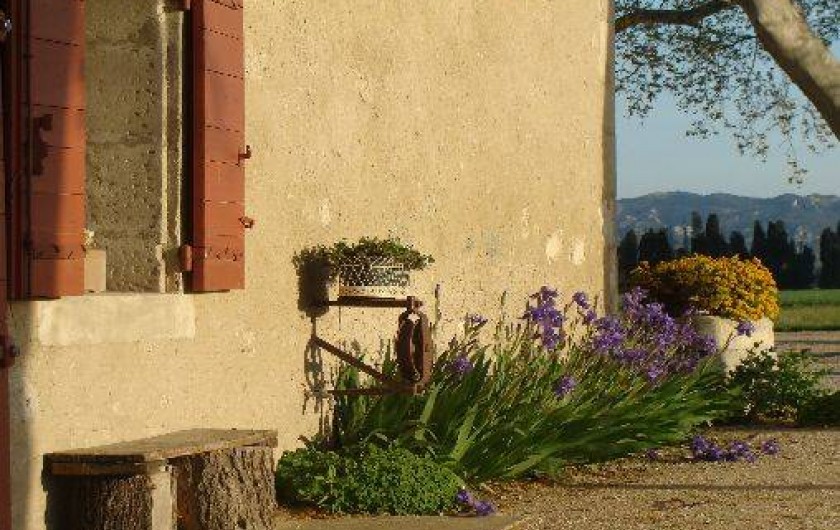 Location de vacances - Gîte à Maillane