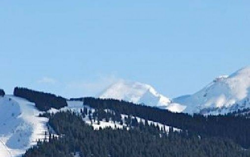 Location de vacances - Chalet à Les Carroz d'Arâches