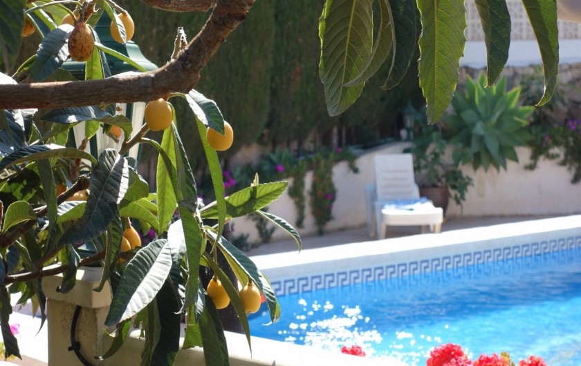 Location de vacances - Chalet à Calp