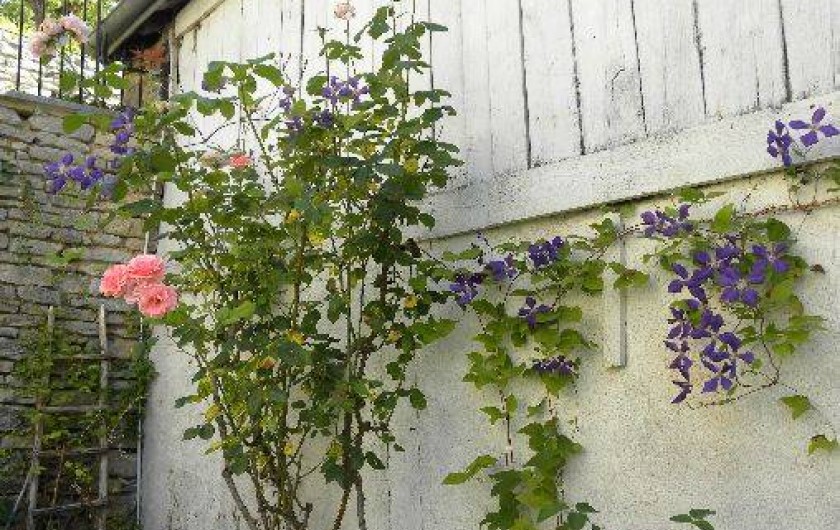 Location de vacances - Maison - Villa à Buffon - Jardin