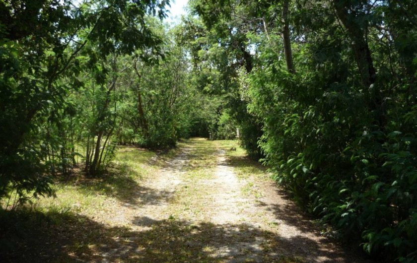 Location de vacances - Camping à Laroque-des-Albères