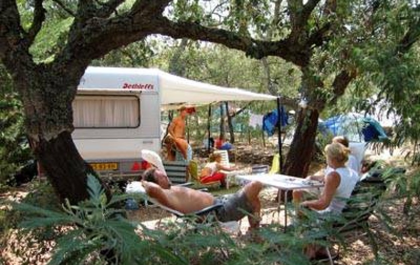 Location de vacances - Camping à Laroque-des-Albères