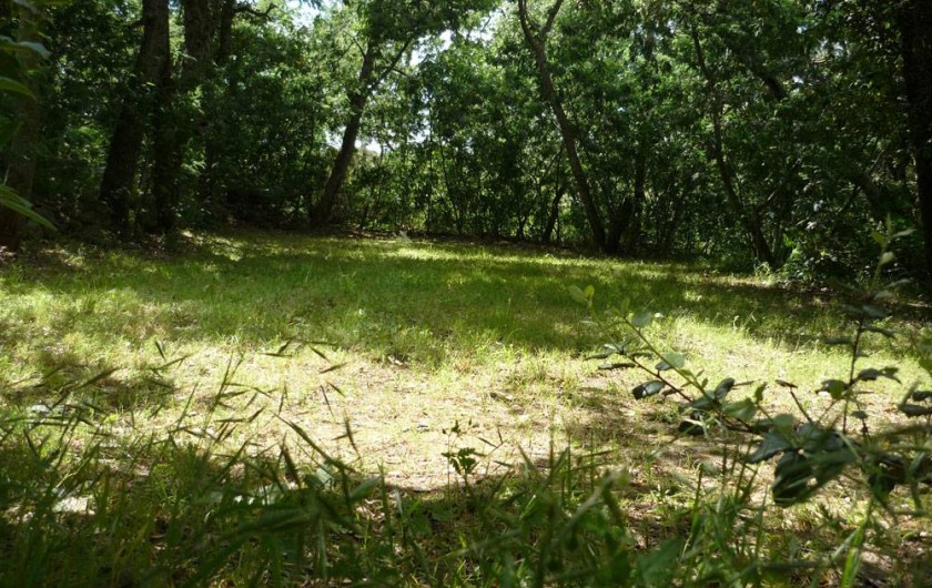 Location de vacances - Camping à Laroque-des-Albères