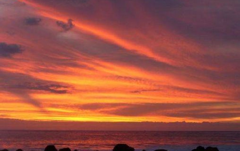 Location de vacances - Bungalow - Mobilhome à Vincendo