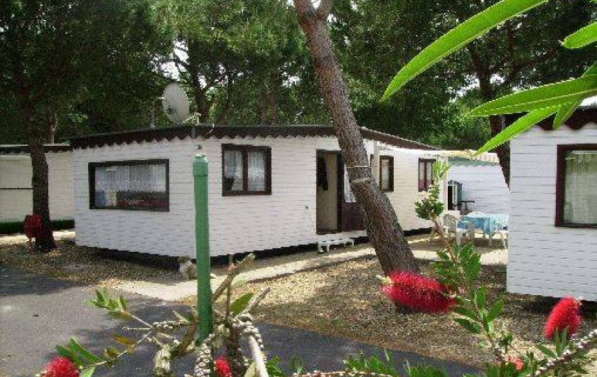 Location de vacances - Camping à Agde
