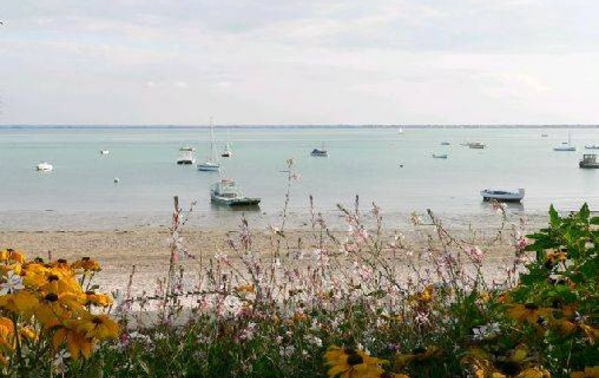 Location de vacances - Gîte à Brusvily