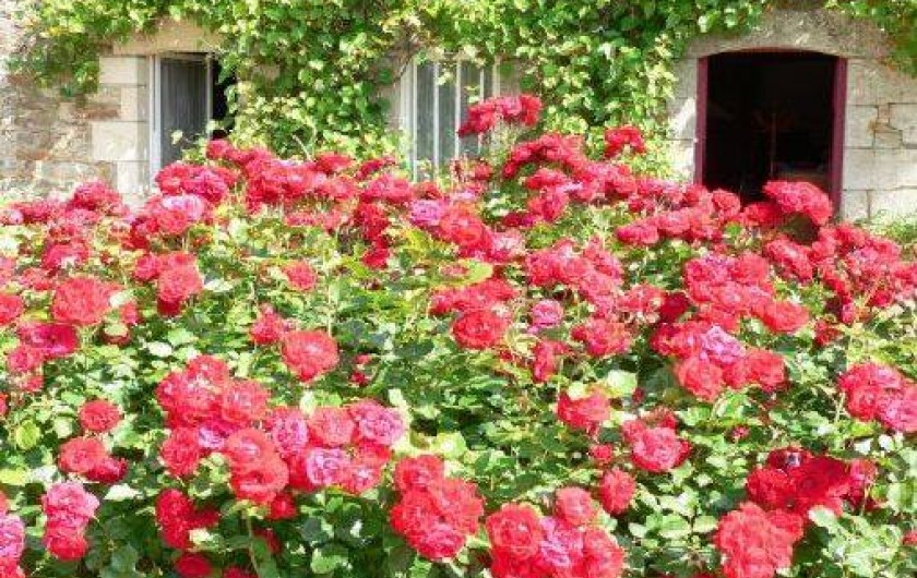 Location de vacances - Gîte à Brusvily