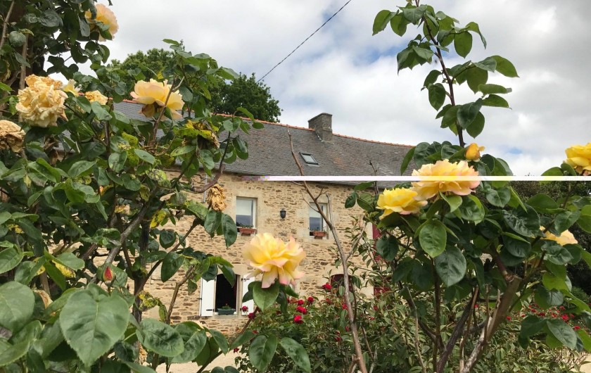 Location de vacances - Gîte à Brusvily