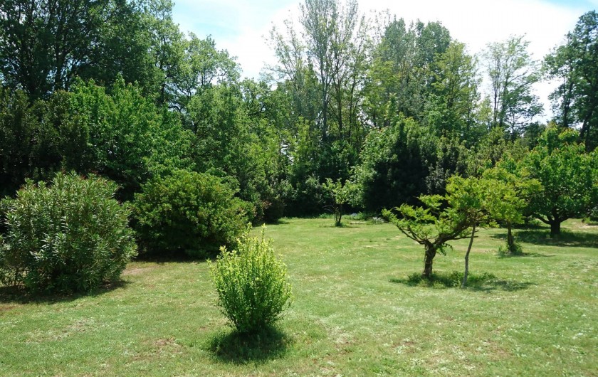 Location de vacances - Gîte à Orgon - Un petit peu du jardin