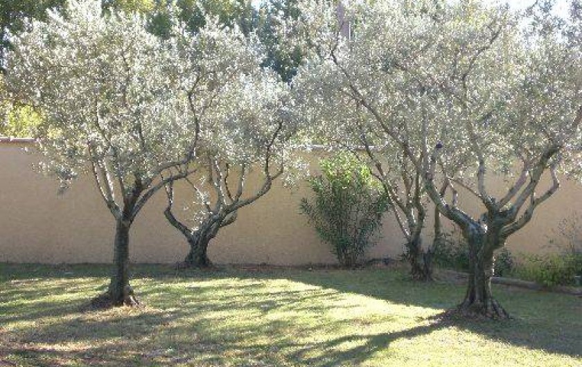 Location de vacances - Chambre d'hôtes à Caumont-sur-Durance